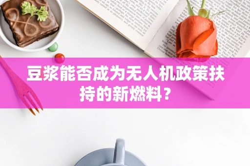 豆浆能否成为无人机政策扶持的新燃料？