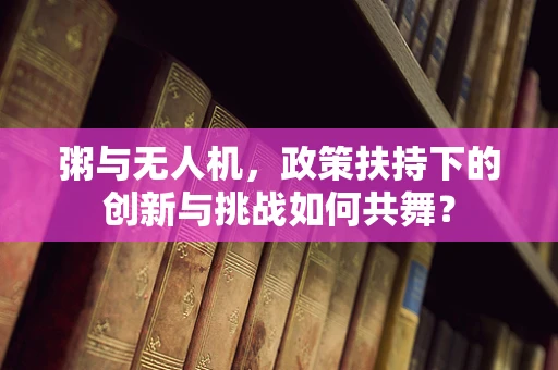 粥与无人机，政策扶持下的创新与挑战如何共舞？