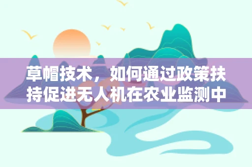 草帽技术，如何通过政策扶持促进无人机在农业监测中的精准应用？