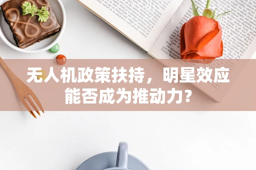 无人机政策扶持，明星效应能否成为推动力？