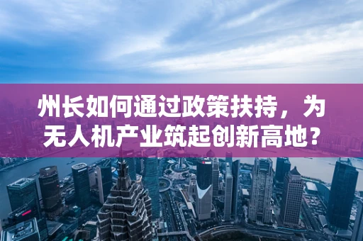 州长如何通过政策扶持，为无人机产业筑起创新高地？