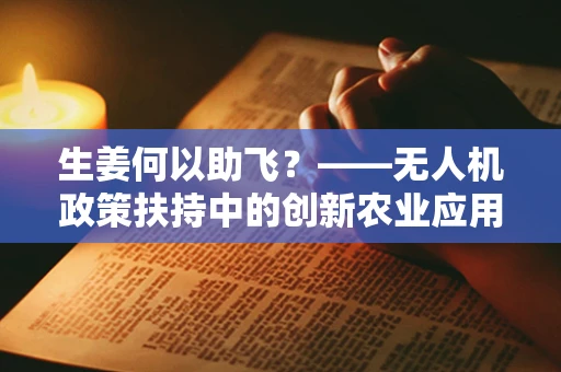 生姜何以助飞？——无人机政策扶持中的创新农业应用探索