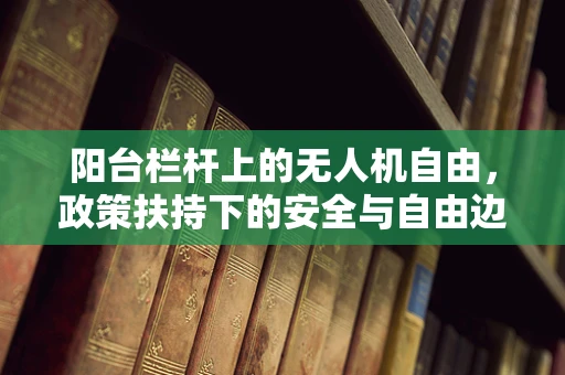 阳台栏杆上的无人机自由，政策扶持下的安全与自由边界