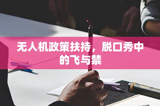 无人机政策扶持，脱口秀中的飞与禁