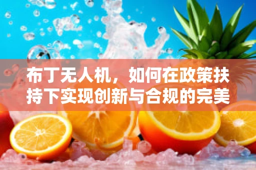 布丁无人机，如何在政策扶持下实现创新与合规的完美融合？