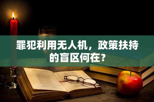 罪犯利用无人机，政策扶持的盲区何在？