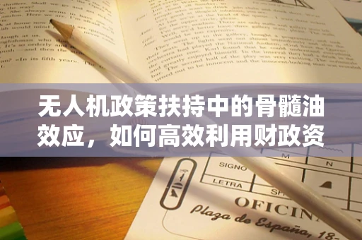 无人机政策扶持中的骨髓油效应，如何高效利用财政资源？