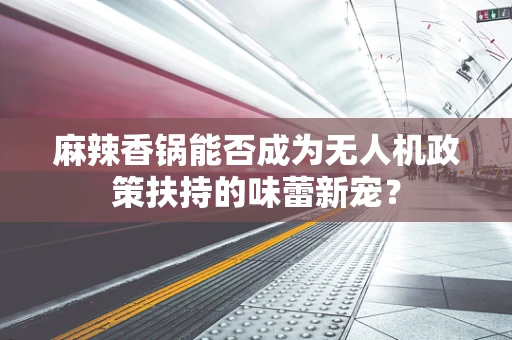 麻辣香锅能否成为无人机政策扶持的味蕾新宠？