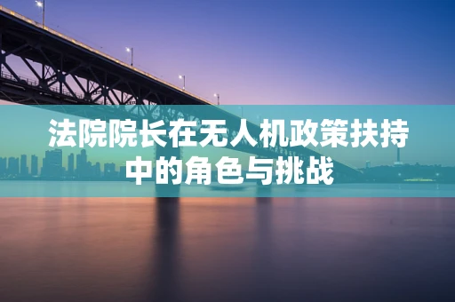 法院院长在无人机政策扶持中的角色与挑战