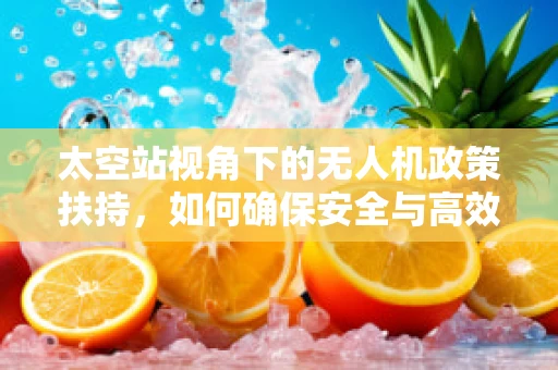 太空站视角下的无人机政策扶持，如何确保安全与高效共存？