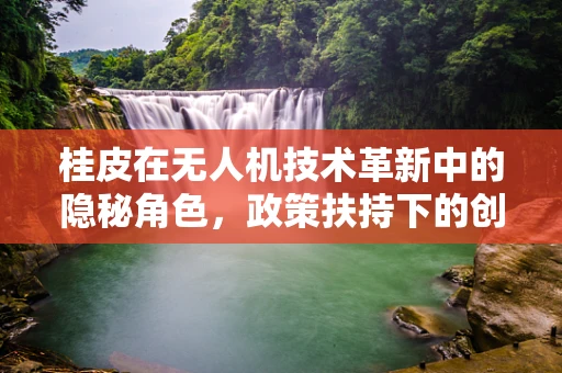 桂皮在无人机技术革新中的隐秘角色，政策扶持下的创新路径探索？