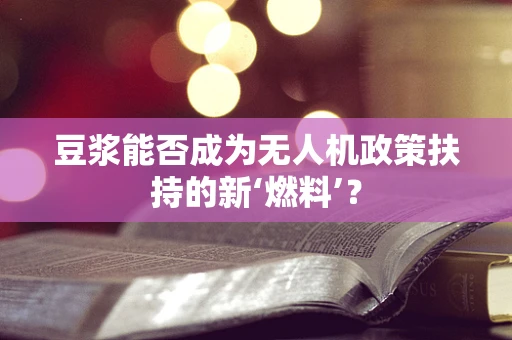 豆浆能否成为无人机政策扶持的新‘燃料’？