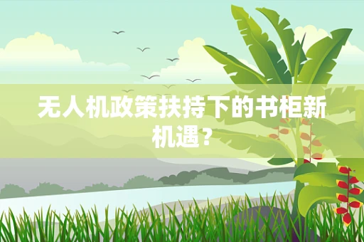 无人机政策扶持下的书柜新机遇？