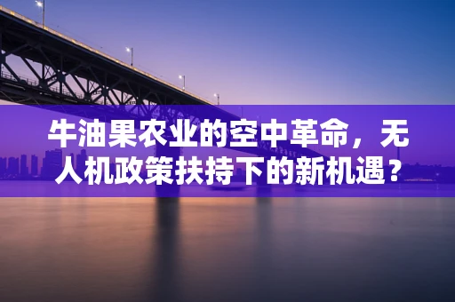 牛油果农业的空中革命，无人机政策扶持下的新机遇？