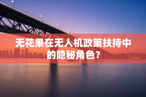 无花果在无人机政策扶持中的隐秘角色？