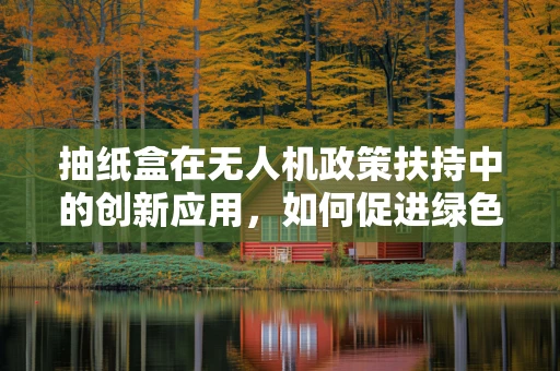 抽纸盒在无人机政策扶持中的创新应用，如何促进绿色环保与便捷性？