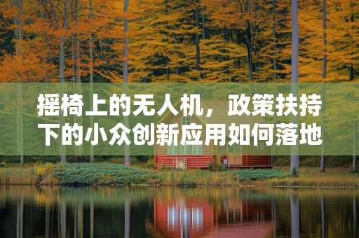 摇椅上的无人机，政策扶持下的小众创新应用如何落地？