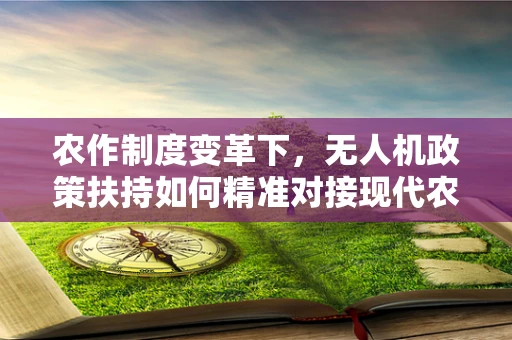 农作制度变革下，无人机政策扶持如何精准对接现代农业需求？