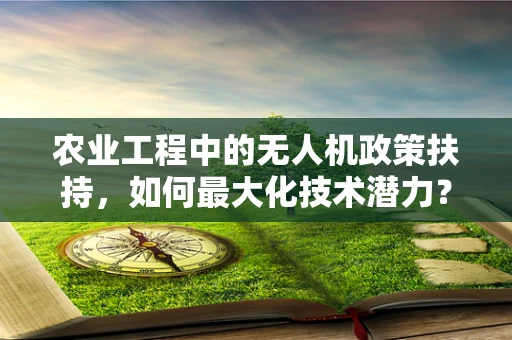 农业工程中的无人机政策扶持，如何最大化技术潜力？