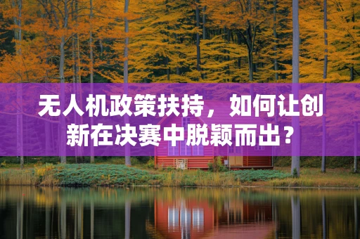 无人机政策扶持，如何让创新在决赛中脱颖而出？