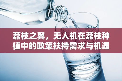 荔枝之翼，无人机在荔枝种植中的政策扶持需求与机遇？