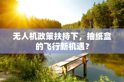 无人机政策扶持下，抽纸盒的飞行新机遇？