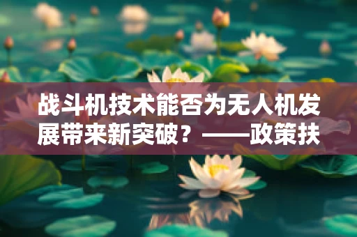 战斗机技术能否为无人机发展带来新突破？——政策扶持下的跨界融合探索