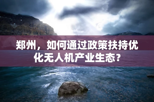 郑州，如何通过政策扶持优化无人机产业生态？