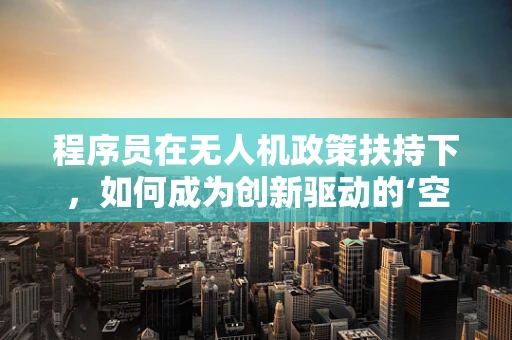 程序员在无人机政策扶持下，如何成为创新驱动的‘空中力量’？