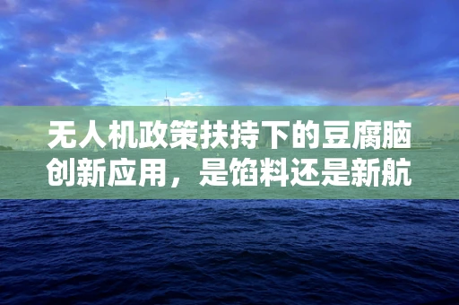 无人机政策扶持下的豆腐脑创新应用，是馅料还是新航向？