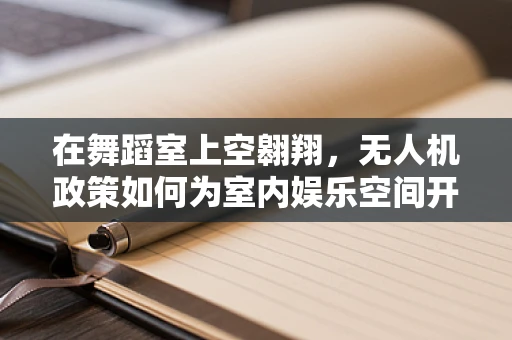 在舞蹈室上空翱翔，无人机政策如何为室内娱乐空间开辟新维度？