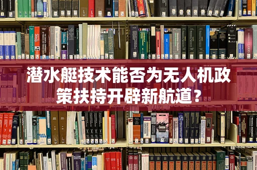 潜水艇技术能否为无人机政策扶持开辟新航道？