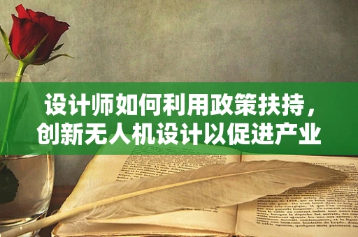 设计师如何利用政策扶持，创新无人机设计以促进产业升级？