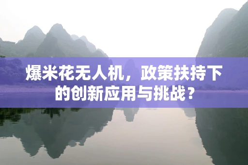 爆米花无人机，政策扶持下的创新应用与挑战？