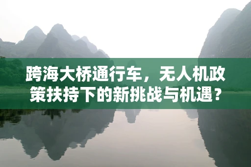 跨海大桥通行车，无人机政策扶持下的新挑战与机遇？