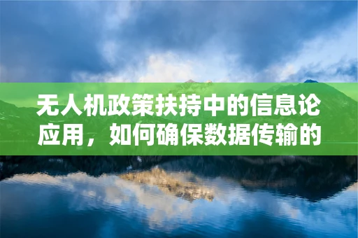 无人机政策扶持中的信息论应用，如何确保数据传输的安全与高效？