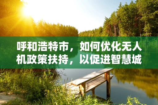 呼和浩特市，如何优化无人机政策扶持，以促进智慧城市建设？