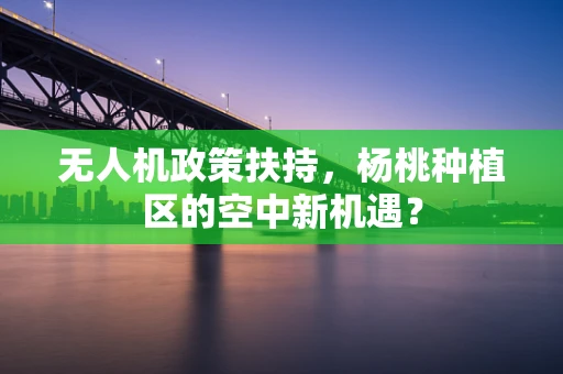 无人机政策扶持，杨桃种植区的空中新机遇？