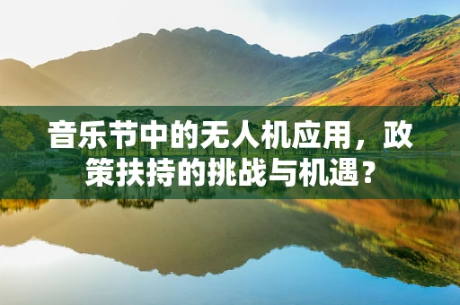 音乐节中的无人机应用，政策扶持的挑战与机遇？