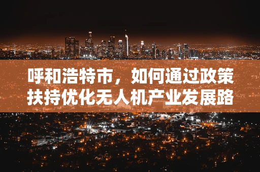 呼和浩特市，如何通过政策扶持优化无人机产业发展路径？