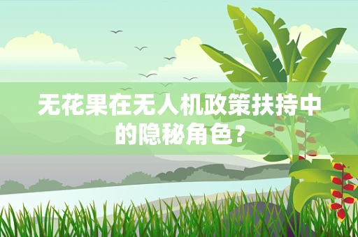 无花果在无人机政策扶持中的隐秘角色？