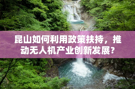 昆山如何利用政策扶持，推动无人机产业创新发展？