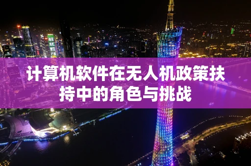 计算机软件在无人机政策扶持中的角色与挑战