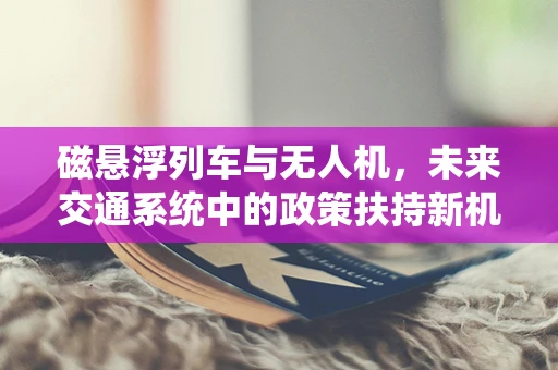 磁悬浮列车与无人机，未来交通系统中的政策扶持新机遇？