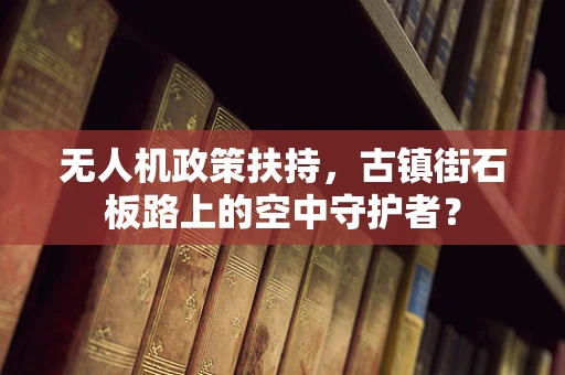 无人机政策扶持，古镇街石板路上的空中守护者？