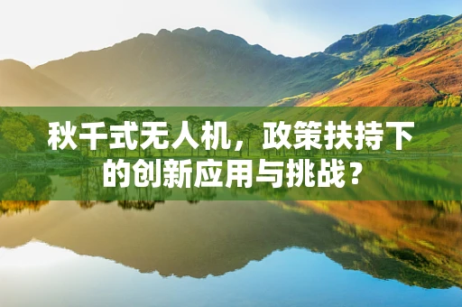 秋千式无人机，政策扶持下的创新应用与挑战？