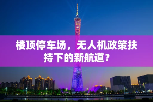 楼顶停车场，无人机政策扶持下的新航道？