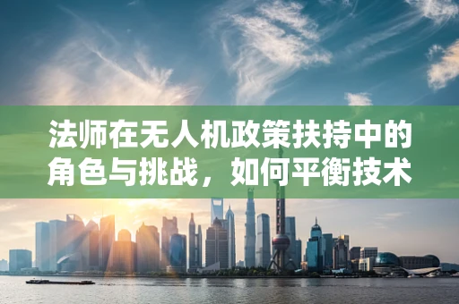 法师在无人机政策扶持中的角色与挑战，如何平衡技术与法律的边界？