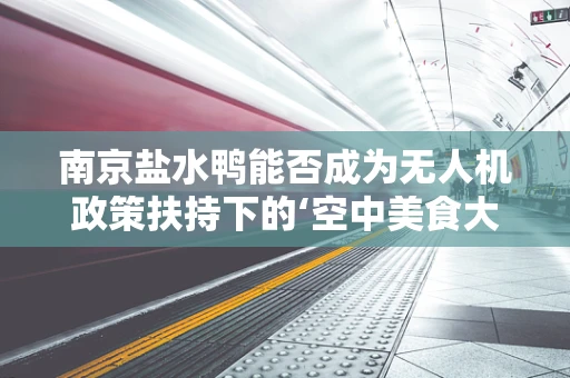 南京盐水鸭能否成为无人机政策扶持下的‘空中美食大使’？