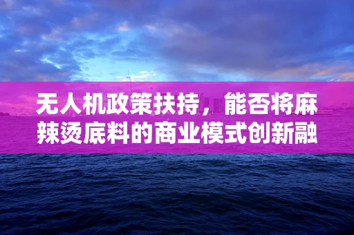 无人机政策扶持，能否将麻辣烫底料的商业模式创新融入其中？